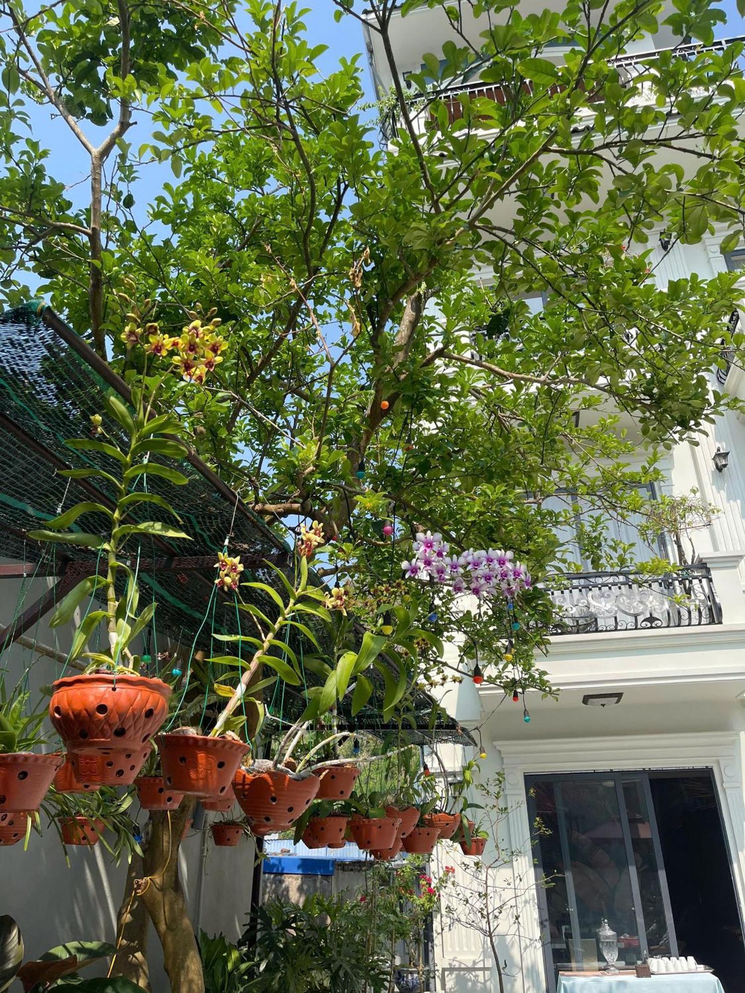 Lynh'S Villa Dong Khe Sau Экстерьер фото